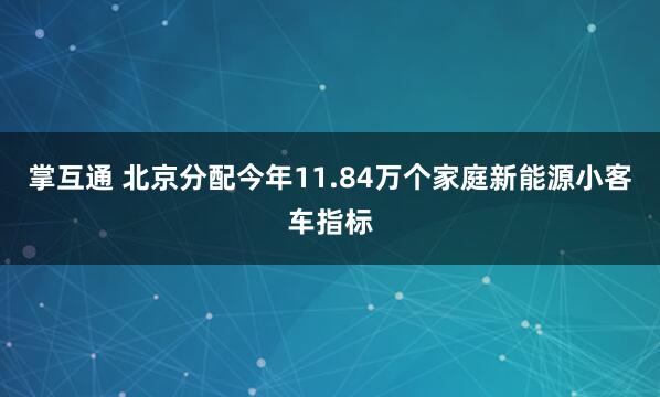 掌互通 北京分配今年11.84万个家庭新能源小客车指标