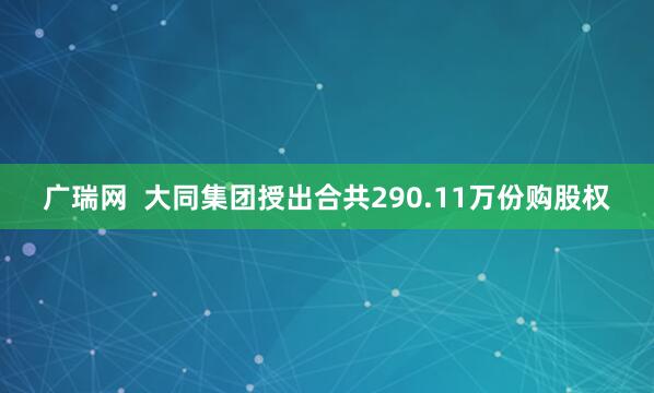 广瑞网 大同集团授出合共290.11万份购股权