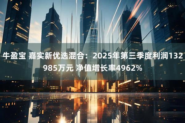 牛盈宝 嘉实新优选混合：2025年第三季度利润132985万元 净值增长率4962%